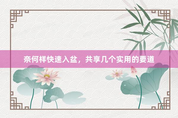 奈何样快速入盆，共享几个实用的要道