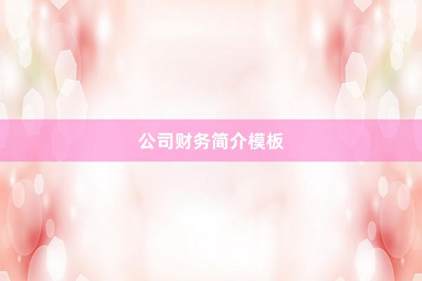公司财务简介模板